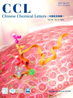 Chinese Chemical Letters杂志